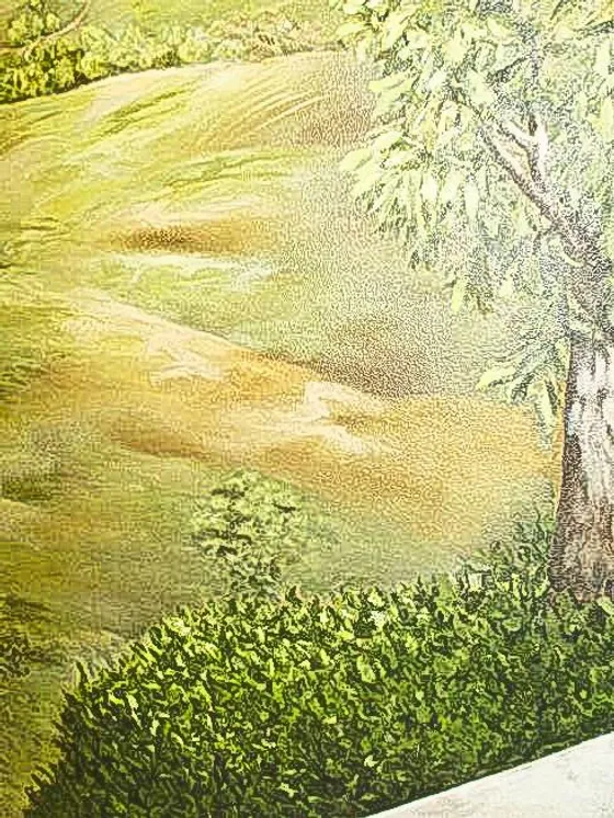 portfolio image